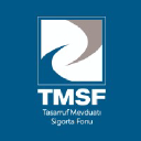 Tmsf.org.tr logo