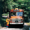 Tokaibus.jp logo