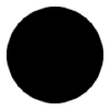 Totalblackoutprotocol.com logo