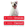 Toyotaoforlando.com logo