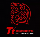 Ttesports.com logo