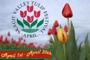 Tulipfestival.org logo