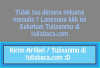 Tulisbaca.com logo