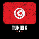 Tunisvista.com logo
