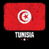 Tunisvista.com logo