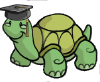 Turtleacademy.com logo