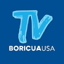 Tvboricuausa.com logo