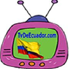 Tvdeecuador.com logo