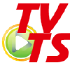 Tvtalkshow.ru logo