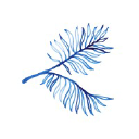 Twobunchpalms.com logo