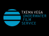 Txemavega.com logo