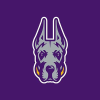 Ualbanysports.com logo