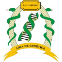 Umc.br logo