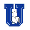 Unir.edu.ve logo