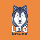 Upg.mx logo