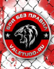 Valetudo.ru logo