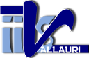Vallauri.edu logo