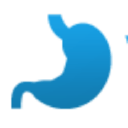 Vashjeludok.com logo