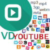 Vdyoutube.com logo