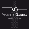 Vicentegandia.es logo