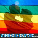 Videosdegaysx.com logo