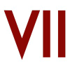 Viiphoto.com logo