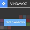 Vindavoz.ru logo