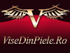 Visedinpiele.ro logo