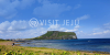 Visitjeju.net logo