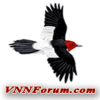 Vnnforum.com logo