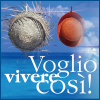 Voglioviverecosi.com logo