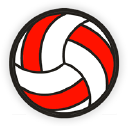 Volleymob.com logo