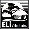 Voluntariosinternacionales.org logo