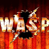 Waspnation.com logo