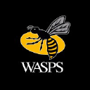 Wasps.co.uk logo