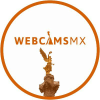 Webcamsdemexico.com logo