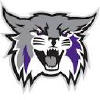 Weberstatesports.com logo