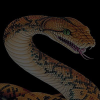 Webhostpython.com logo