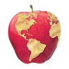 Wenatcheeworld.com logo