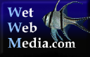 Wetwebmedia.com logo