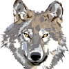 Whatismyspiritanimal.com logo