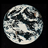 Wholeearth.com logo