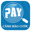 Whypay.vn logo