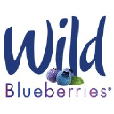 Wildblueberries.com logo