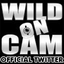Wildoncam.com logo