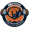 Windycitygridiron.com logo