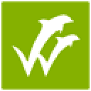 Wiseflow.net logo