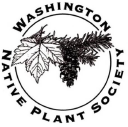 Wnps.org logo