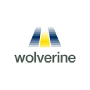 Wolve.com logo