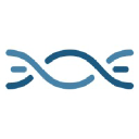 Wordcandy.co logo